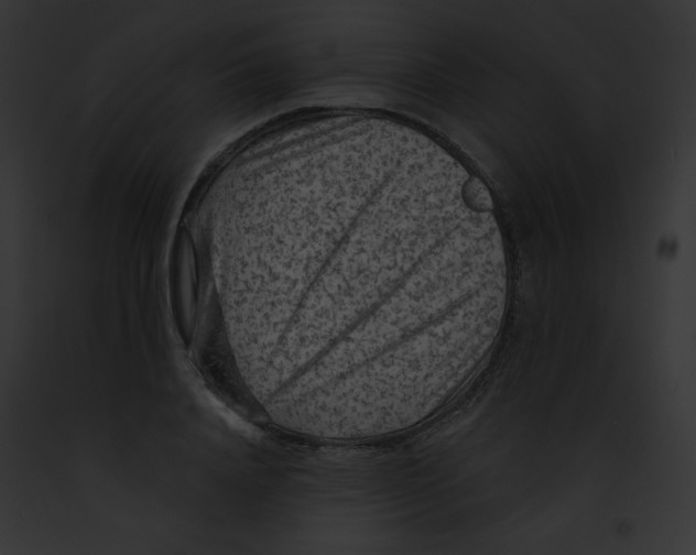 X0000091850840200710031018