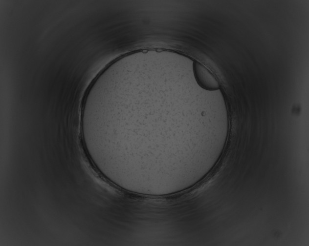 X0000091850844200710031018