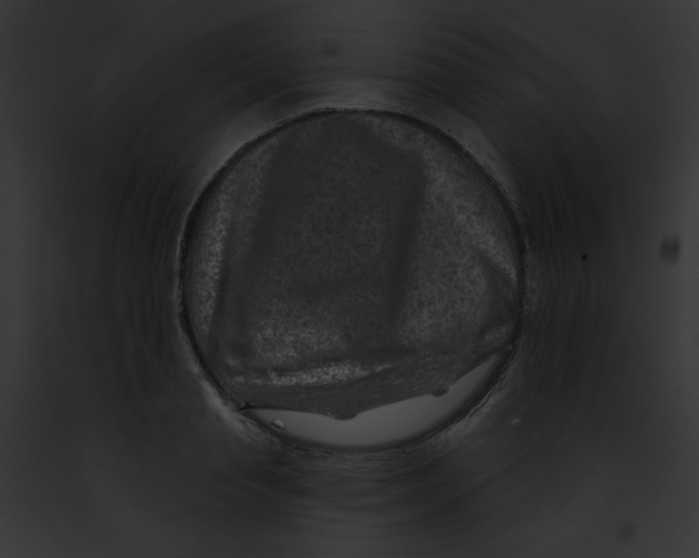 X0000091850845200710031018