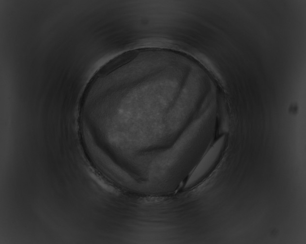 X0000091850846200710031018