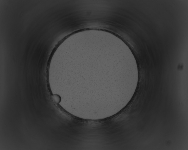 X0000091850848200710031018
