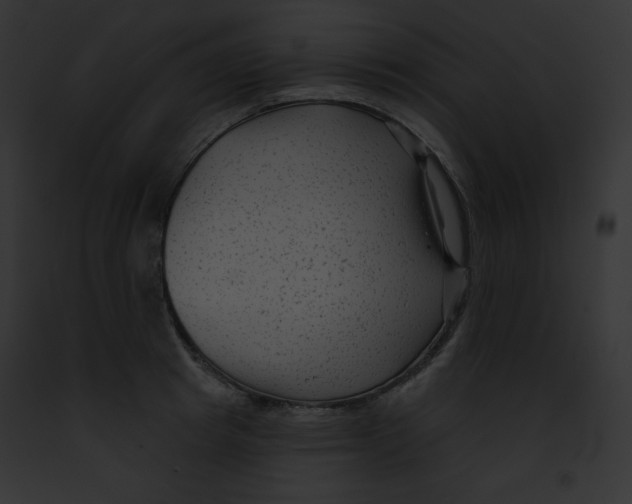 X0000091850849200710031018