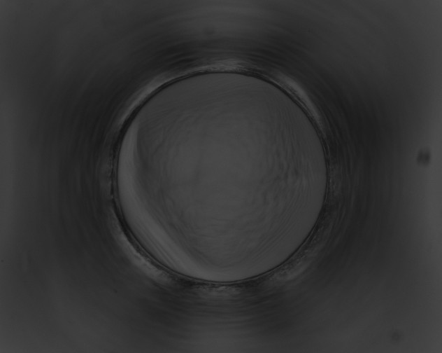 X0000091850851200710031018