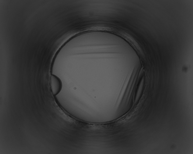 X0000091850852200710031018