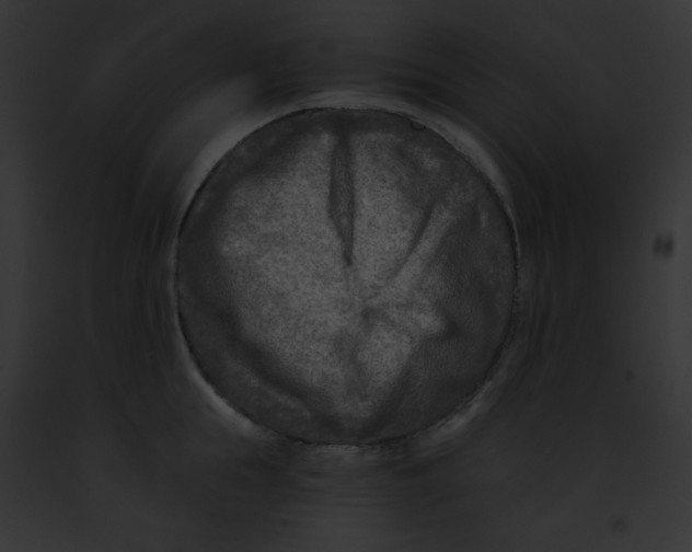 X0000091850855200710031018