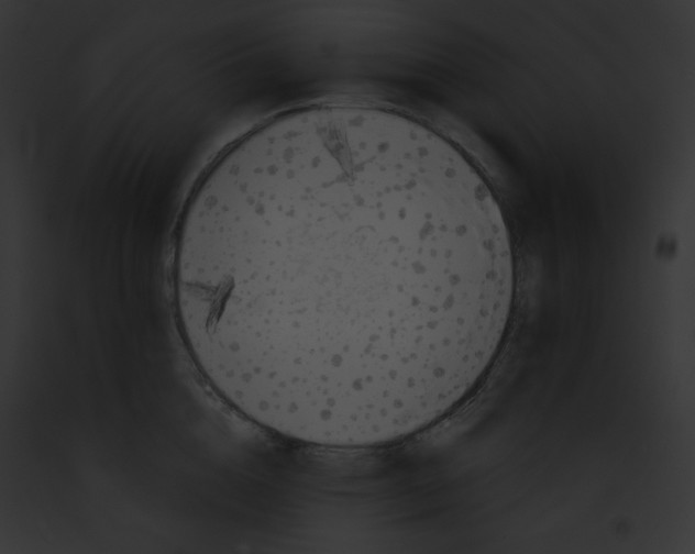 X0000091850856200710031018