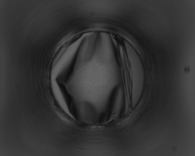 X0000091850858200710031018