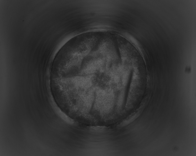 X0000091850859200710031018