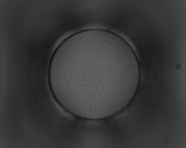 X0000091850861200710031018