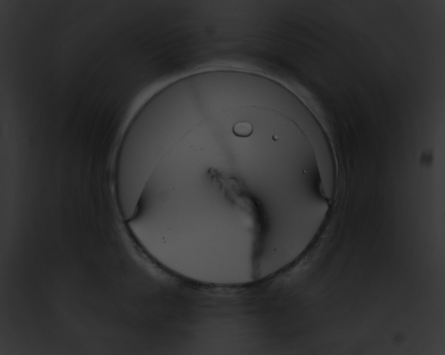 X0000091850862200710031018
