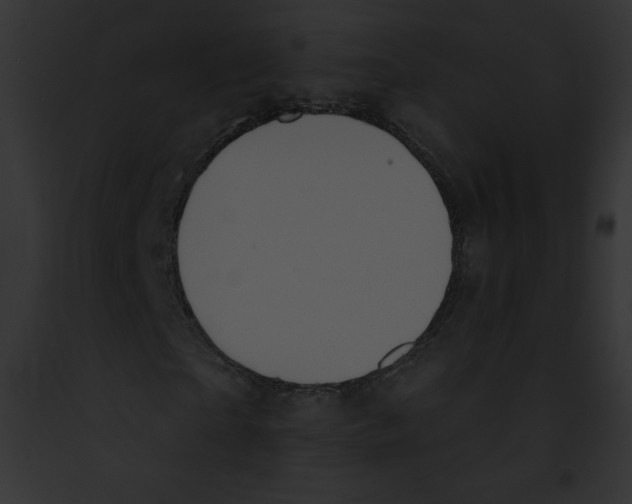 X0000091850865200710031018