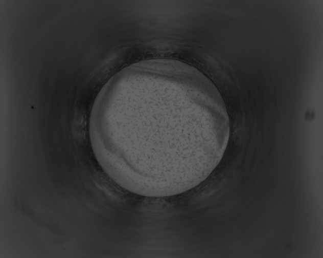 X0000091850866200710031018