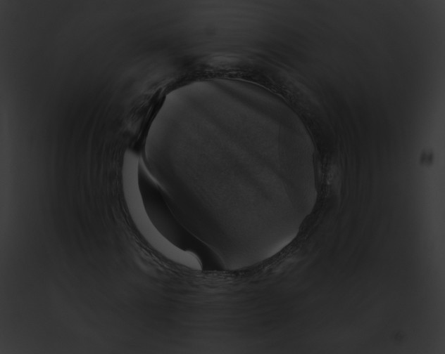 X0000091850868200710031018