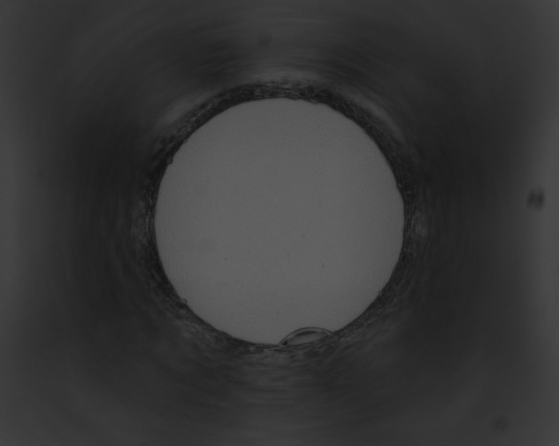 X0000091850869200710031018