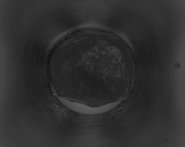 X0000091850872200710031018