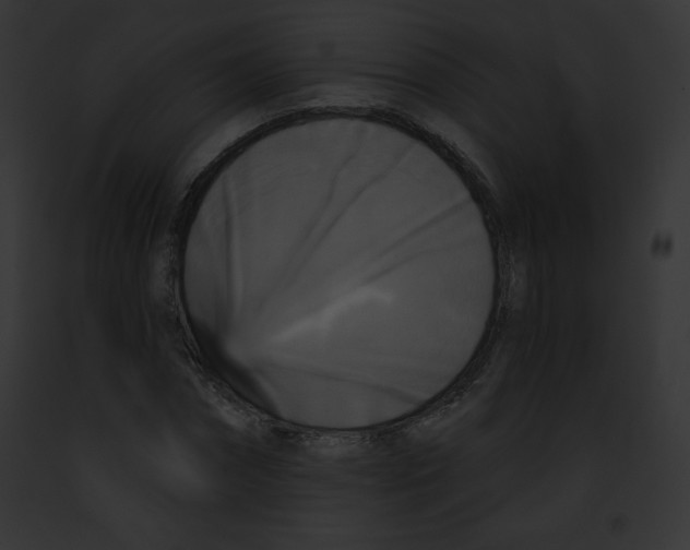 X0000091850874200710031018
