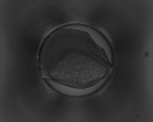 X0000091850876200710031018