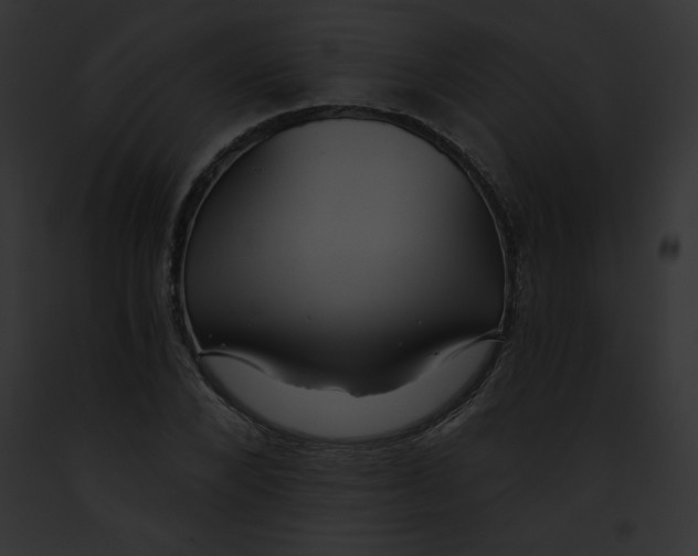 X0000091850880200710031018