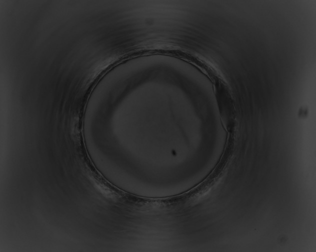 X0000091850881200710031018