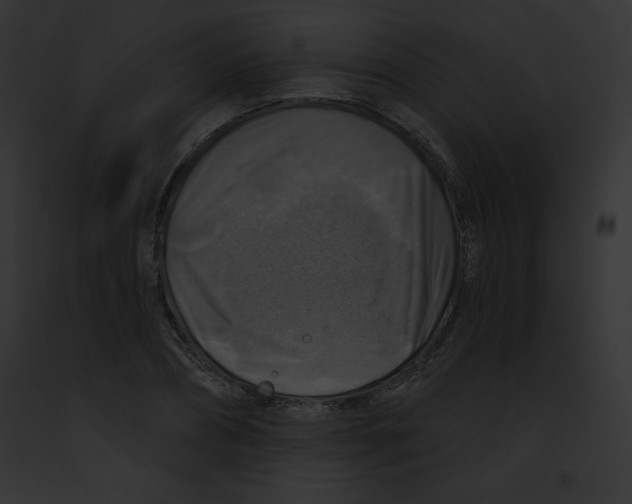X0000091850882200710031018