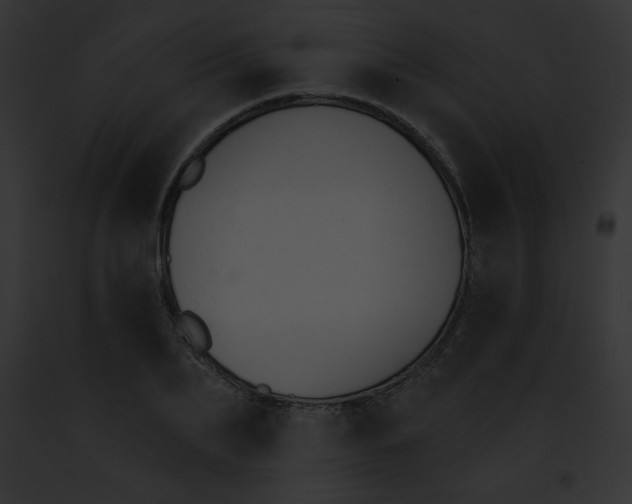 X0000091850887200710031017