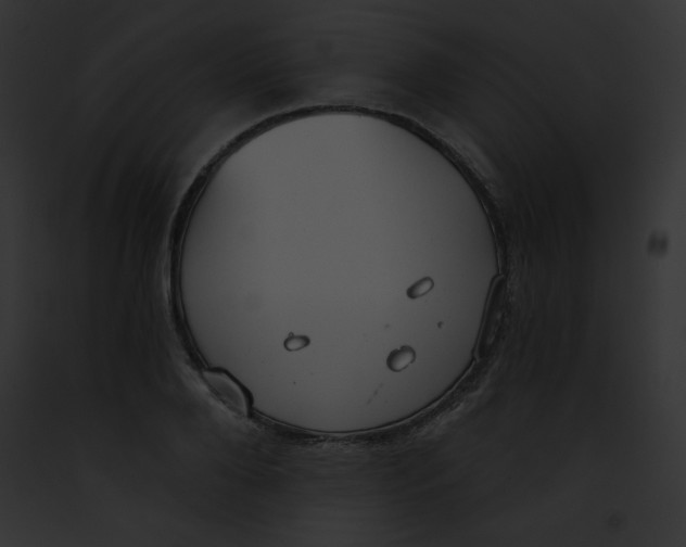 X0000091850888200710031017