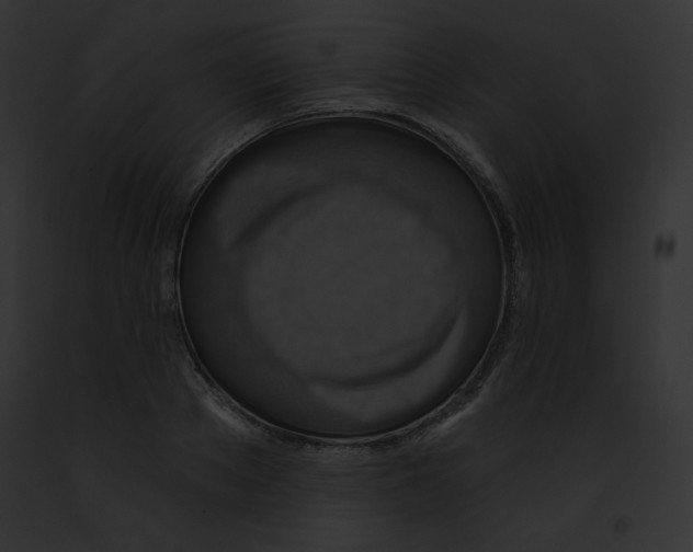 X0000091850889200710031017