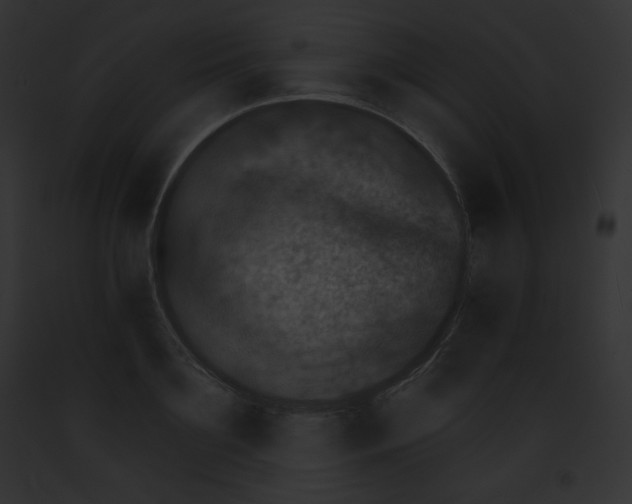 X0000091850891200710031017
