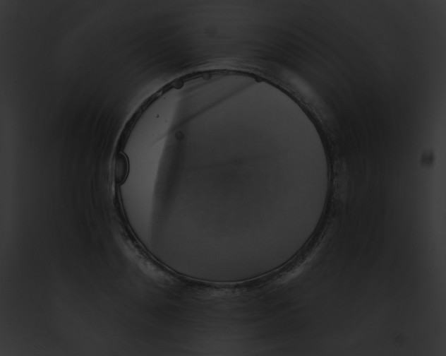 X0000091850892200710031017