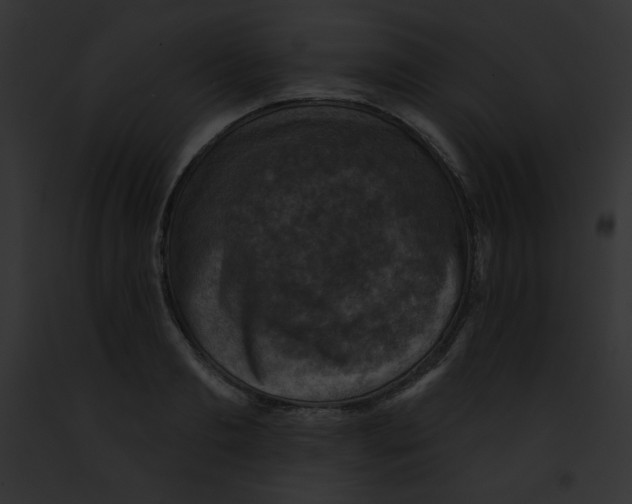 X0000091850893200710031017