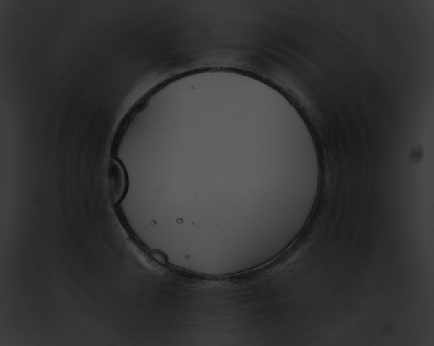 X0000091850894200710031017