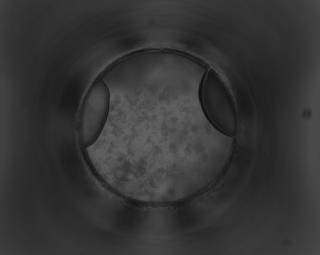 X0000091850895200710031017