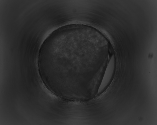 X0000091850896200710031017