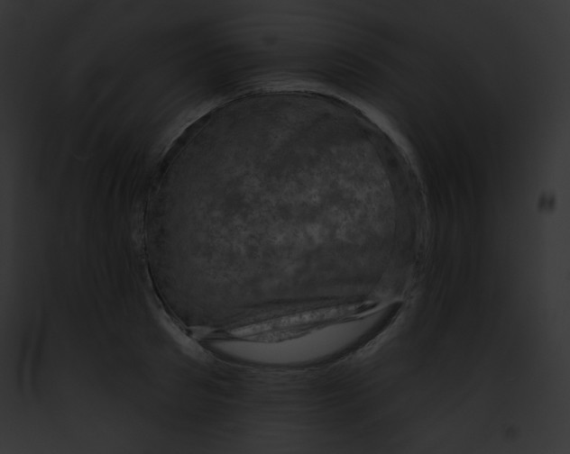 X0000091850897200710031017