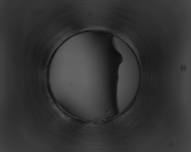 X0000091850898200710031017