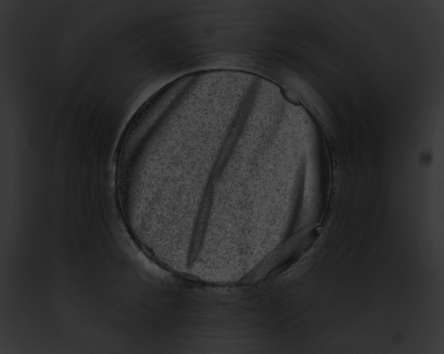 X0000091850900200710031017