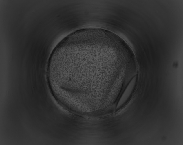 X0000091850901200710031017