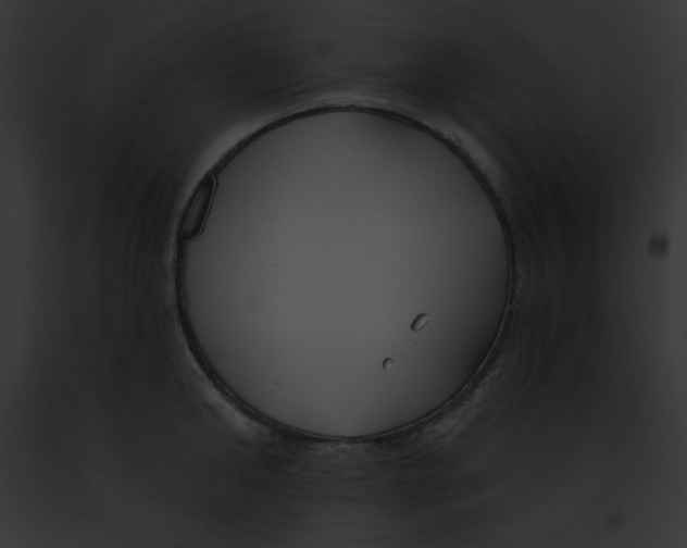 X0000091850902200710031017