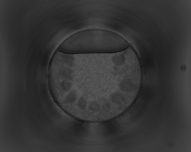 X0000091850903200710031017