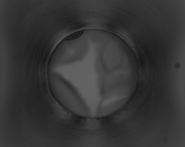 X0000091850907200710031017