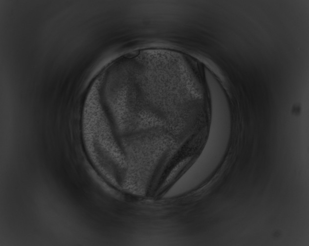 X0000091850910200710031017