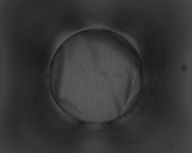 X0000091850911200710031017
