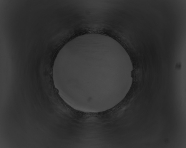 X0000091850913200710031017