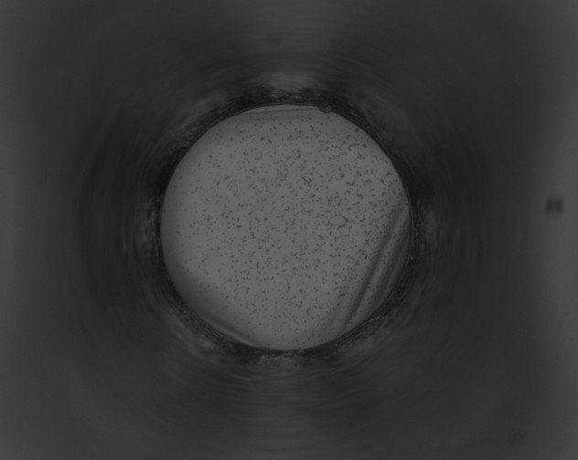 X0000091850914200710031017