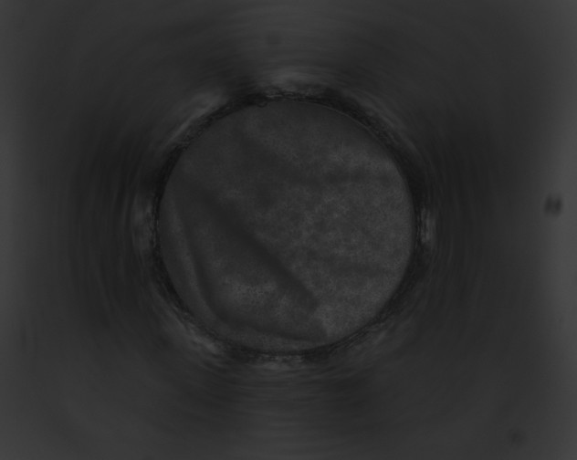 X0000091850915200710031017