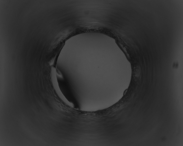 X0000091850916200710031017
