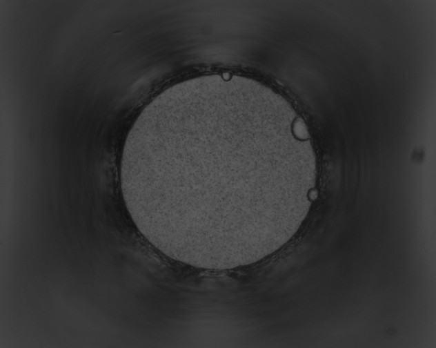 X0000091850918200710031017