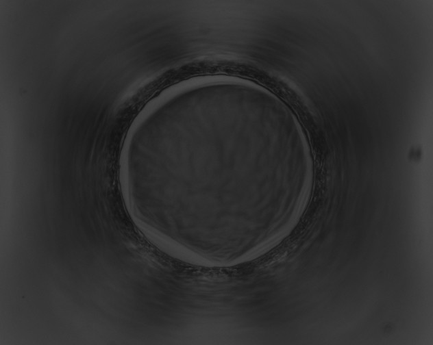 X0000091850919200710031017