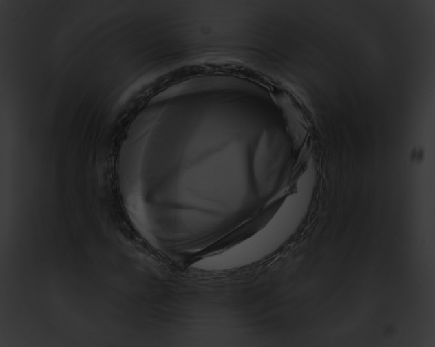 X0000091850920200710031017