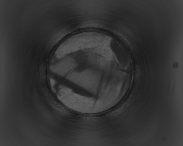 X0000091850921200710031017